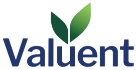 Valuent Logo